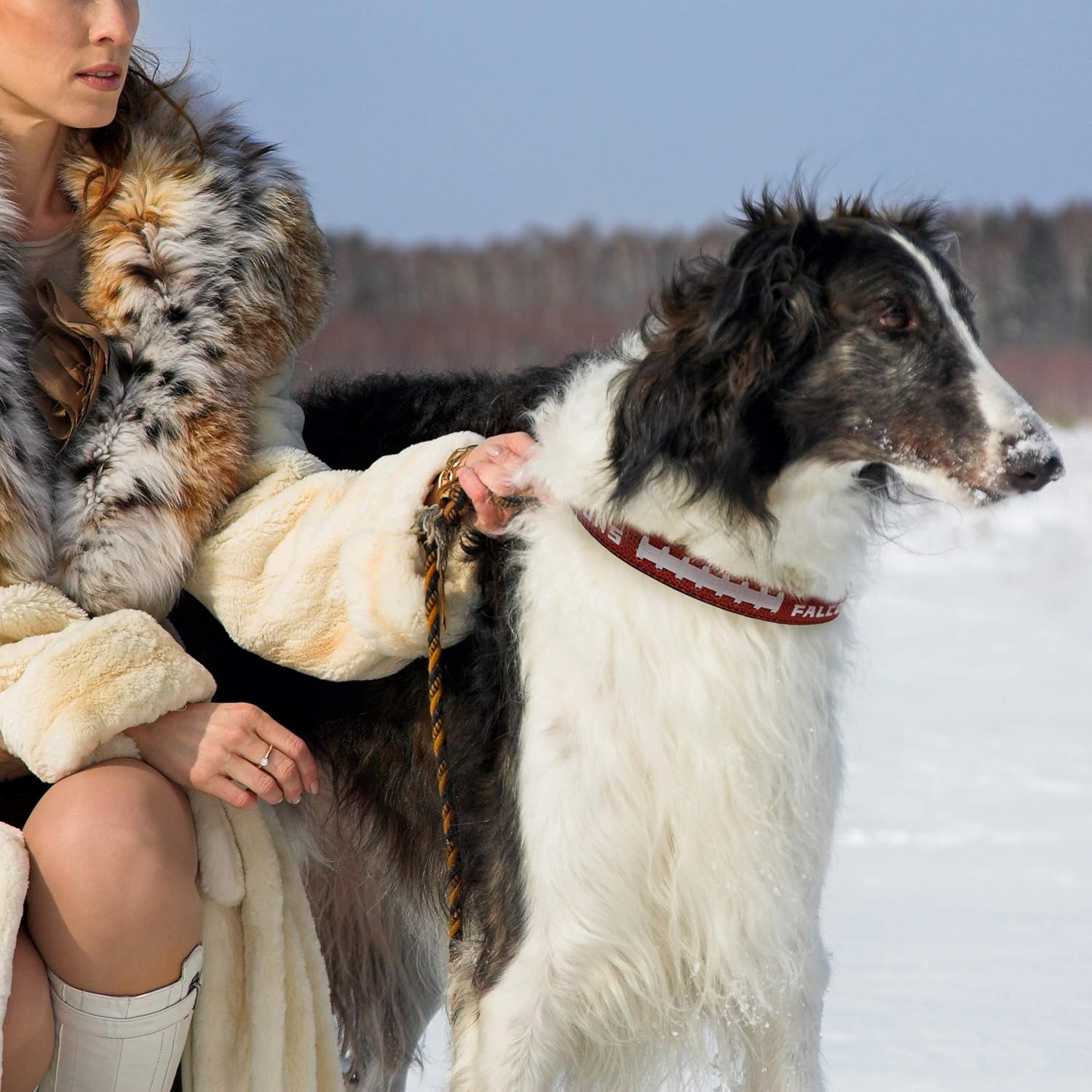 pets first nfl dog collar