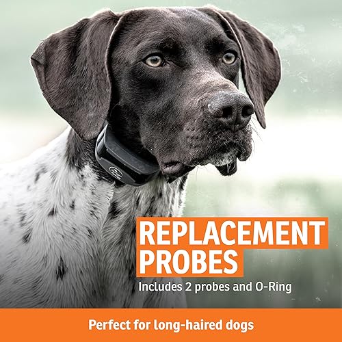 Miniatura 11 de SportDOG Brand NoBark 10 Collares, collares antiladridos de perro, recargable, collar programable, tecnología de socio silencioso, dos modos