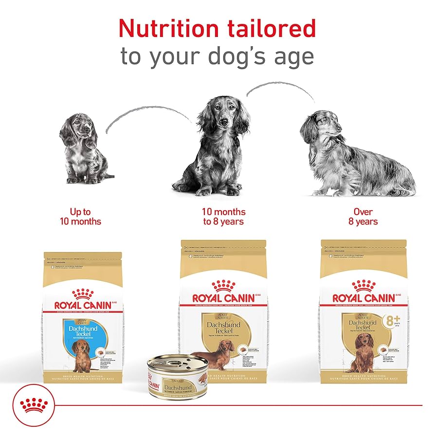 Royal Canin Breed Health Nutrition Dachshund Adult Loaf in