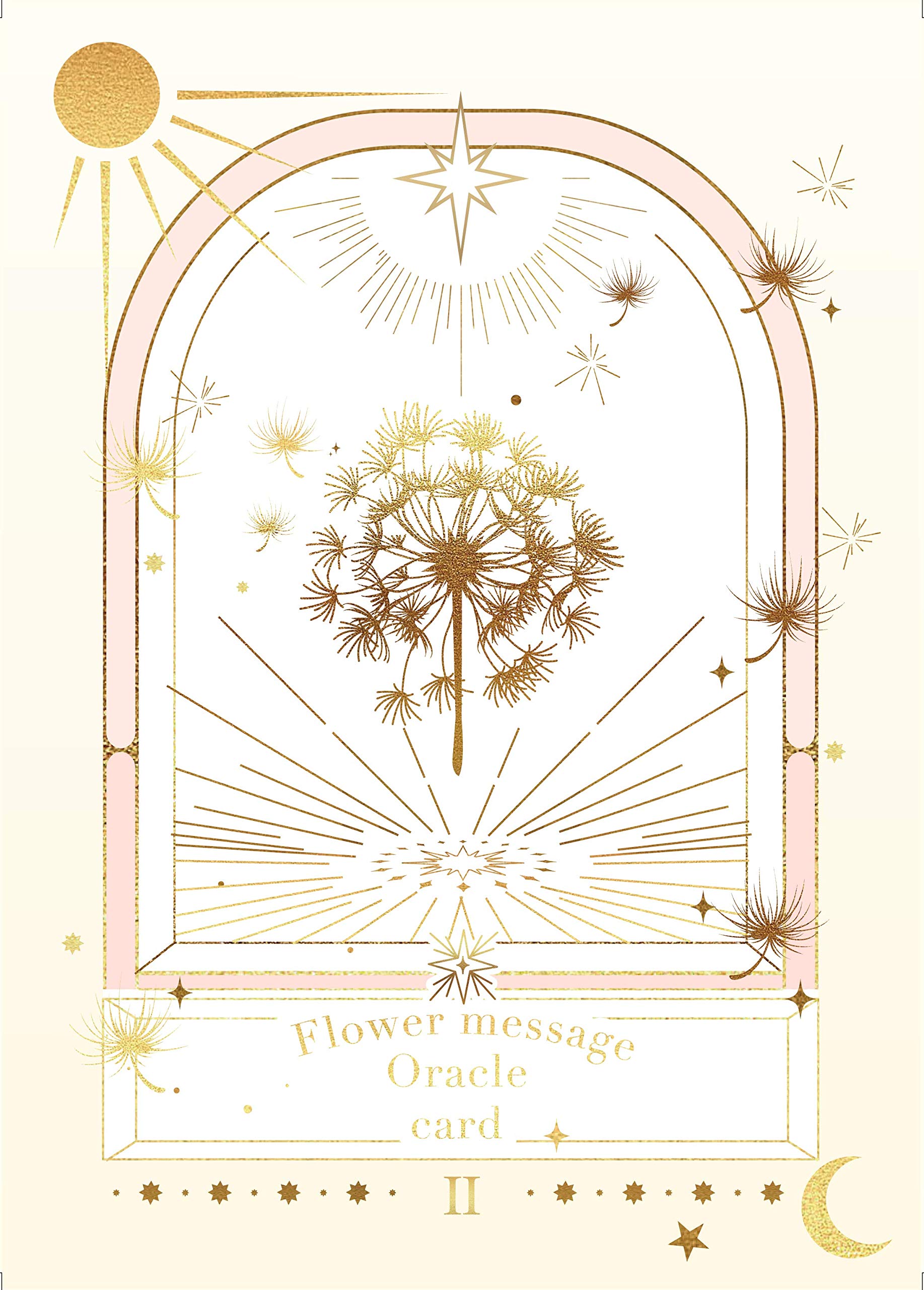 Amazon.co.jp: Visionary Company Flower Message Oracle Card 