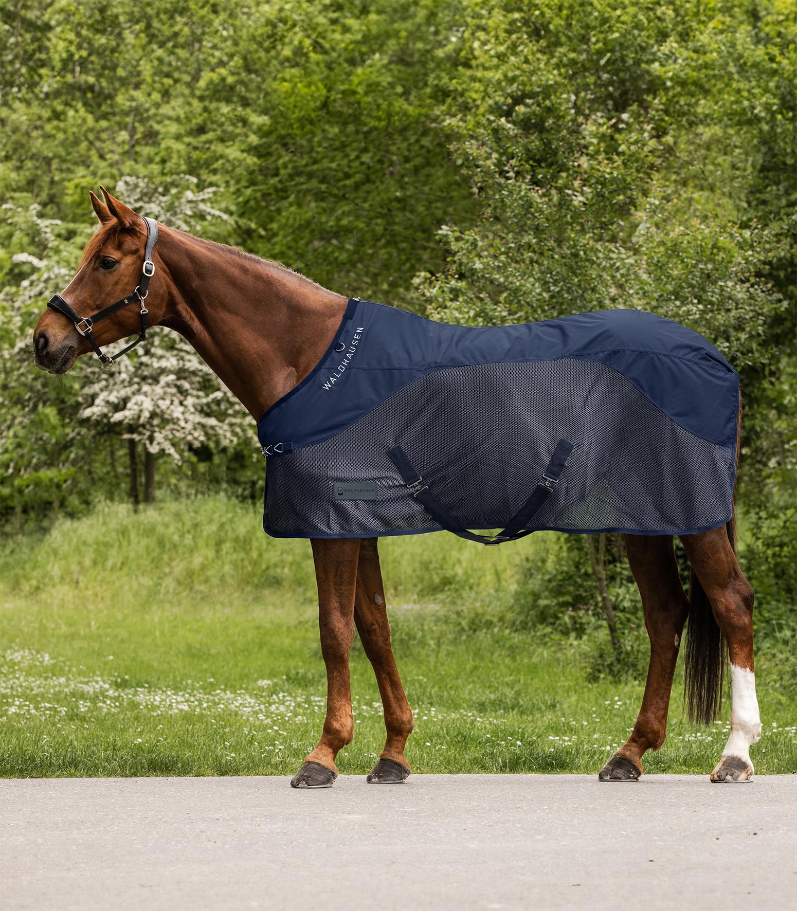 Waldhausen Couverture Anti-Mouches Comfort Dos Étanche Gris