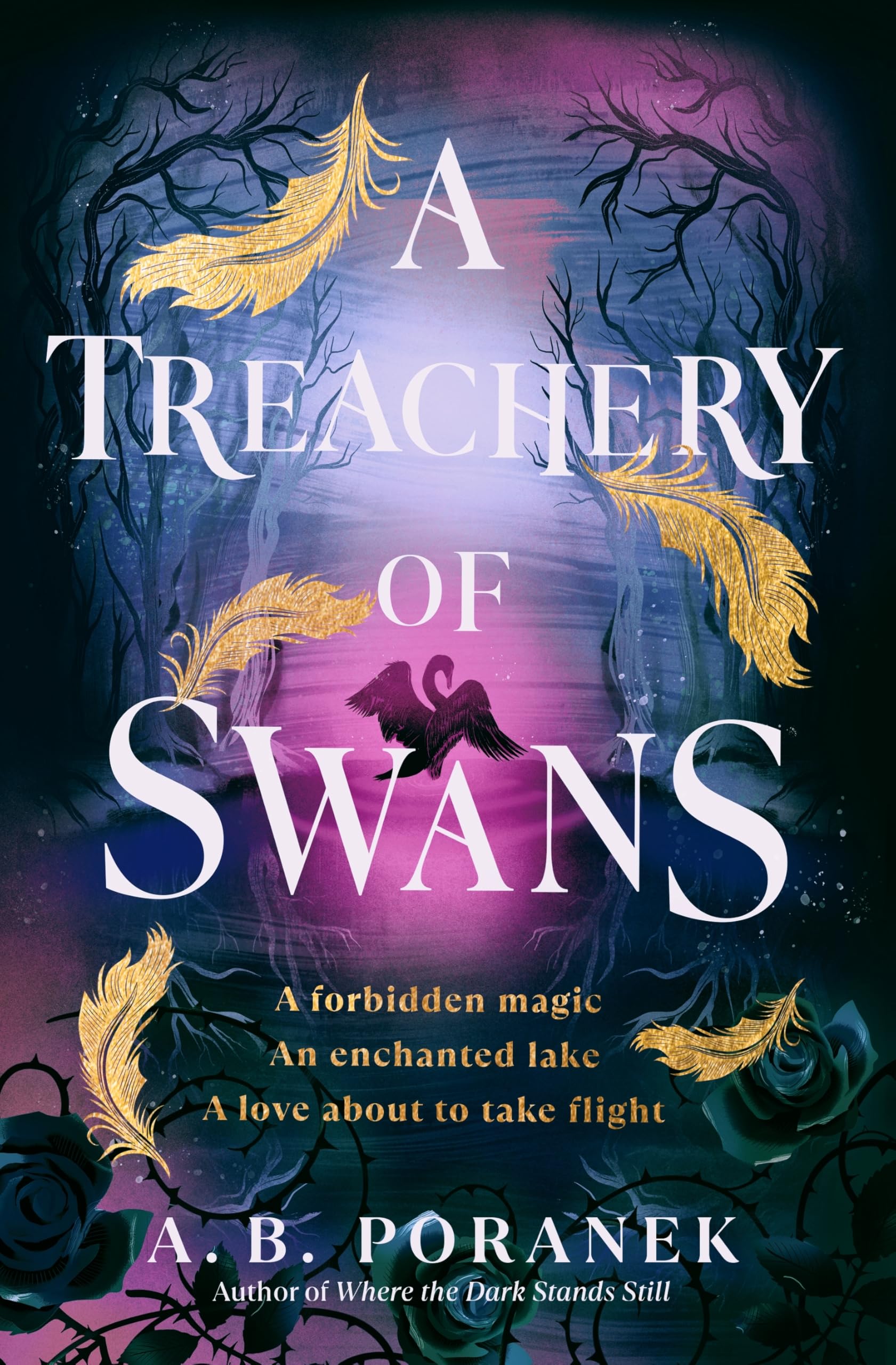 A Treachery of Swans: A dark, enchanting YA romantasy from the author of Where the Dark Stands Still