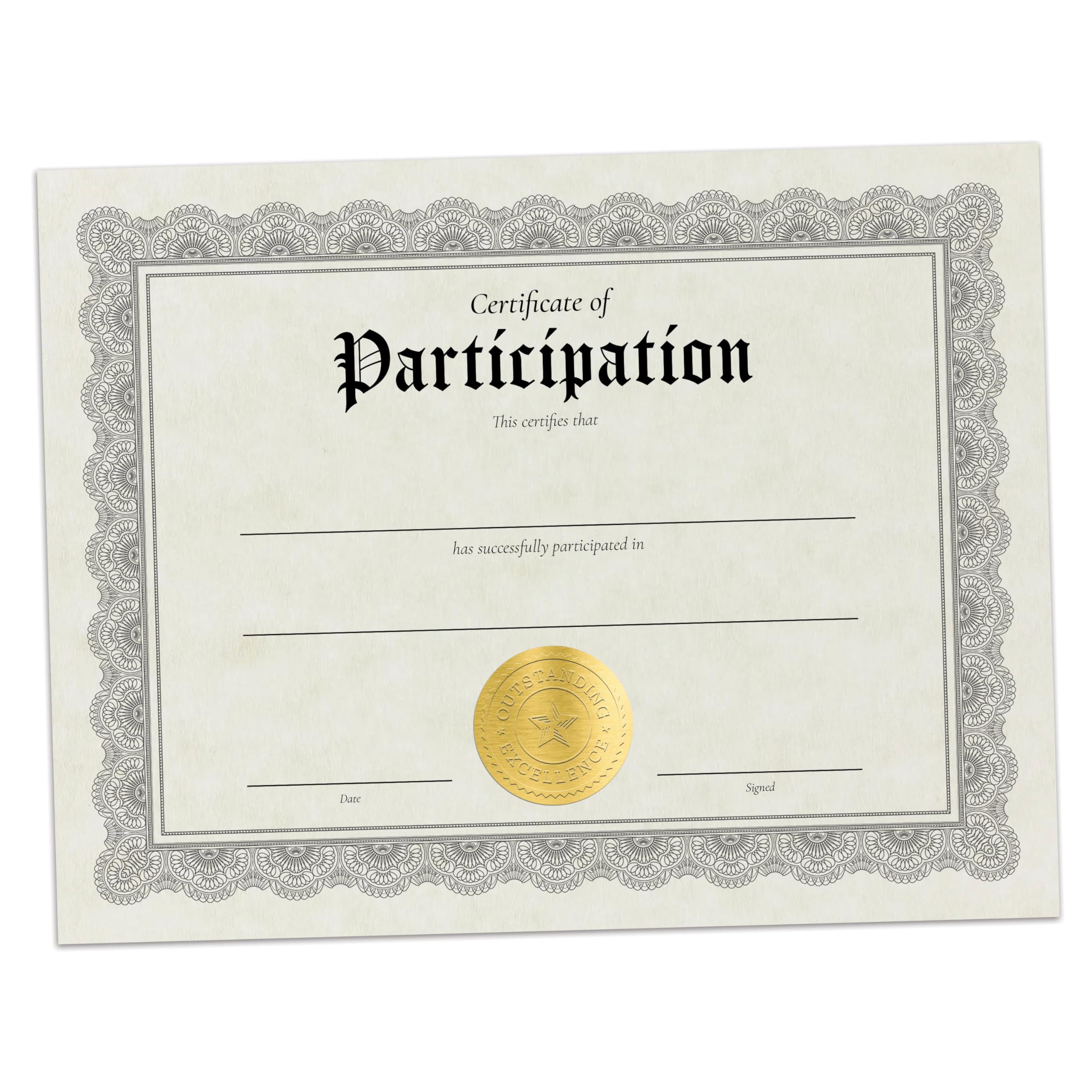 Hill Valley Greetings Certificate of Participation - 15 Fill in Award Certificates with Gold Foil Embossed Seals
