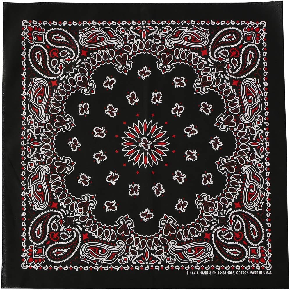 Amazon | [ハバハンク] MADE IN USA 55cm×55cm ペイズリー