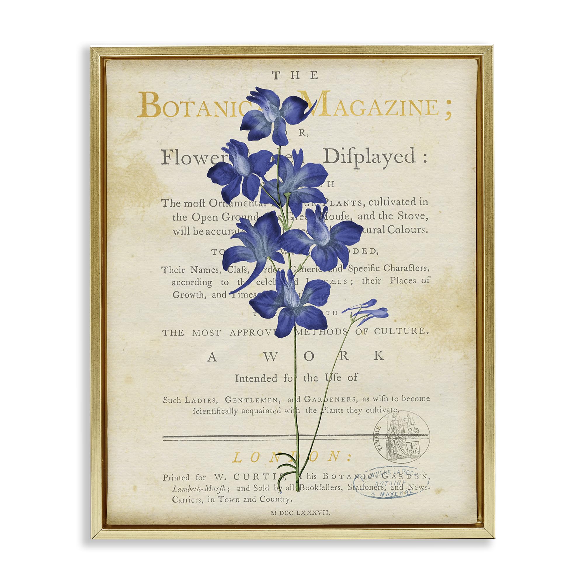 Stupell Industries Metallic Gold (Matte) 'Natural Botanic Garden Flower'| Floating Frame Canvas Art