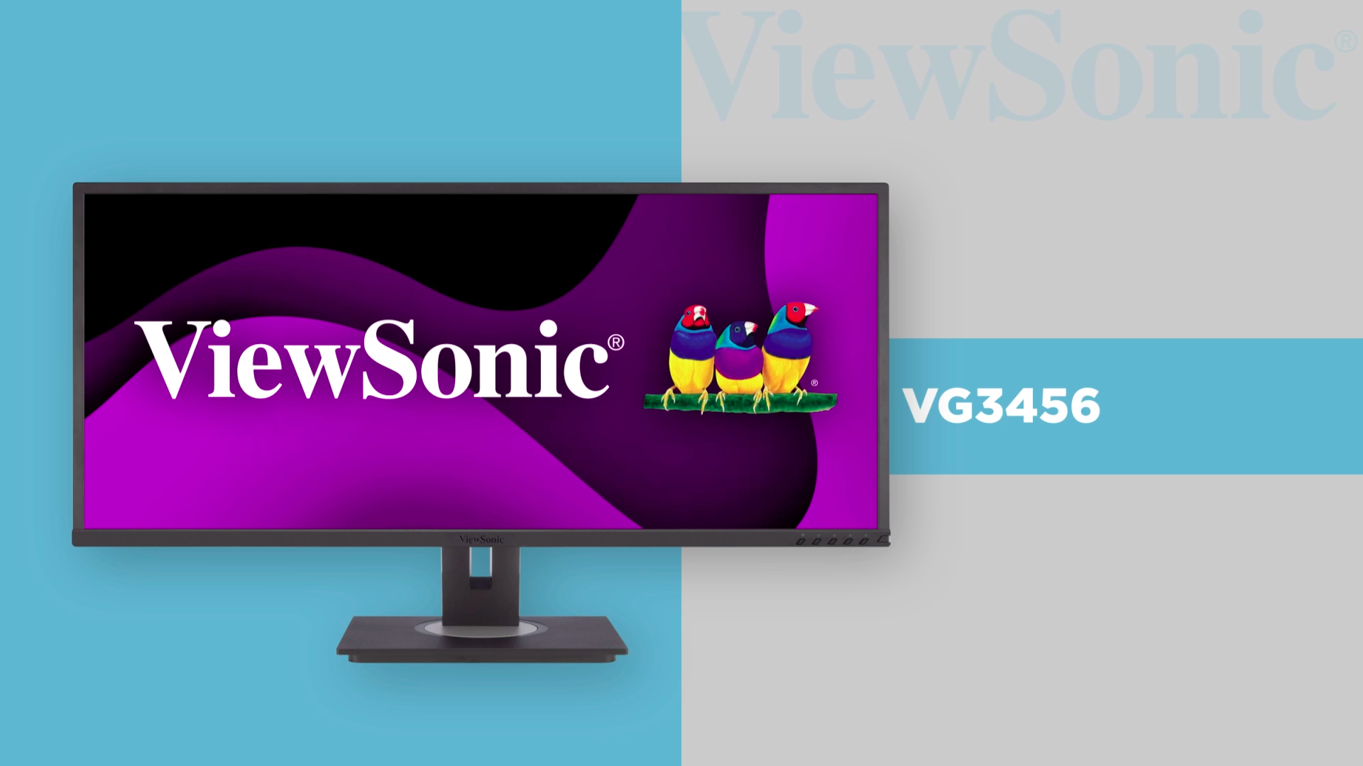 Amazon.com: ViewSonic VG3456 34 Inch 21:9 1440p Monitor with