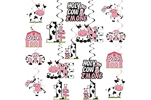 Holy Cow, I'm One! Birthday Decorations Hanging Swirls for Baby Girl