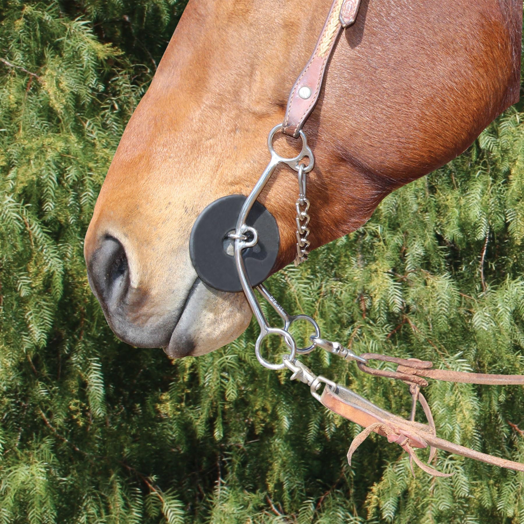 Professional's Choice Brittany Pozzi Snaffle Med Lifter Bit