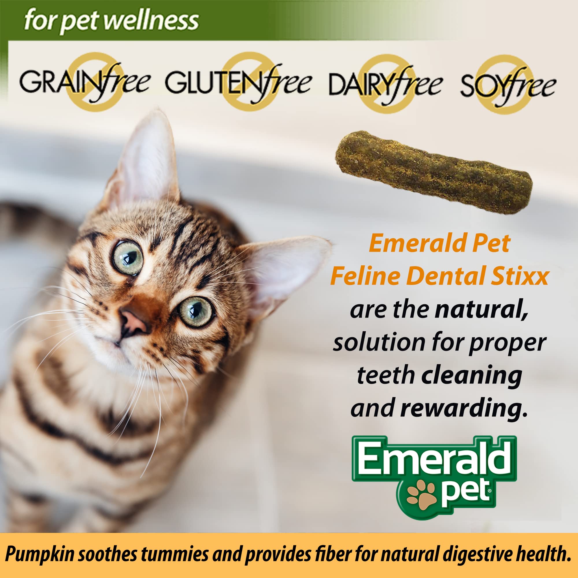 Emerald Pet Feline Dental Stixx — Tasty and Crunchy Cat Sticks with Pumpkin for Digestive Health — Natural Grain Free Dental Treats for Clean Teeth and Fresh Breath — Salmon, 3.6 oz - image 8
