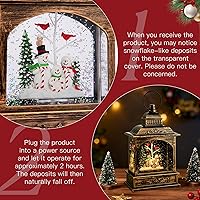 Vista 6 de Globo de Nieve Cardinal, Globo de Nieve Musical de Muñeco de Nieve Navideño tipo Linterna con Luces con Temporizador de 6H a Batería y Alimentado