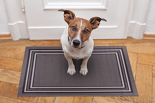 Miniatura 2 de BY COCOON Tapete para puerta de 2 x 3 pies Alfombra de pasillo de cocina, alfombra lavable de entrada (23.6 in x 35.4 in, color gris)