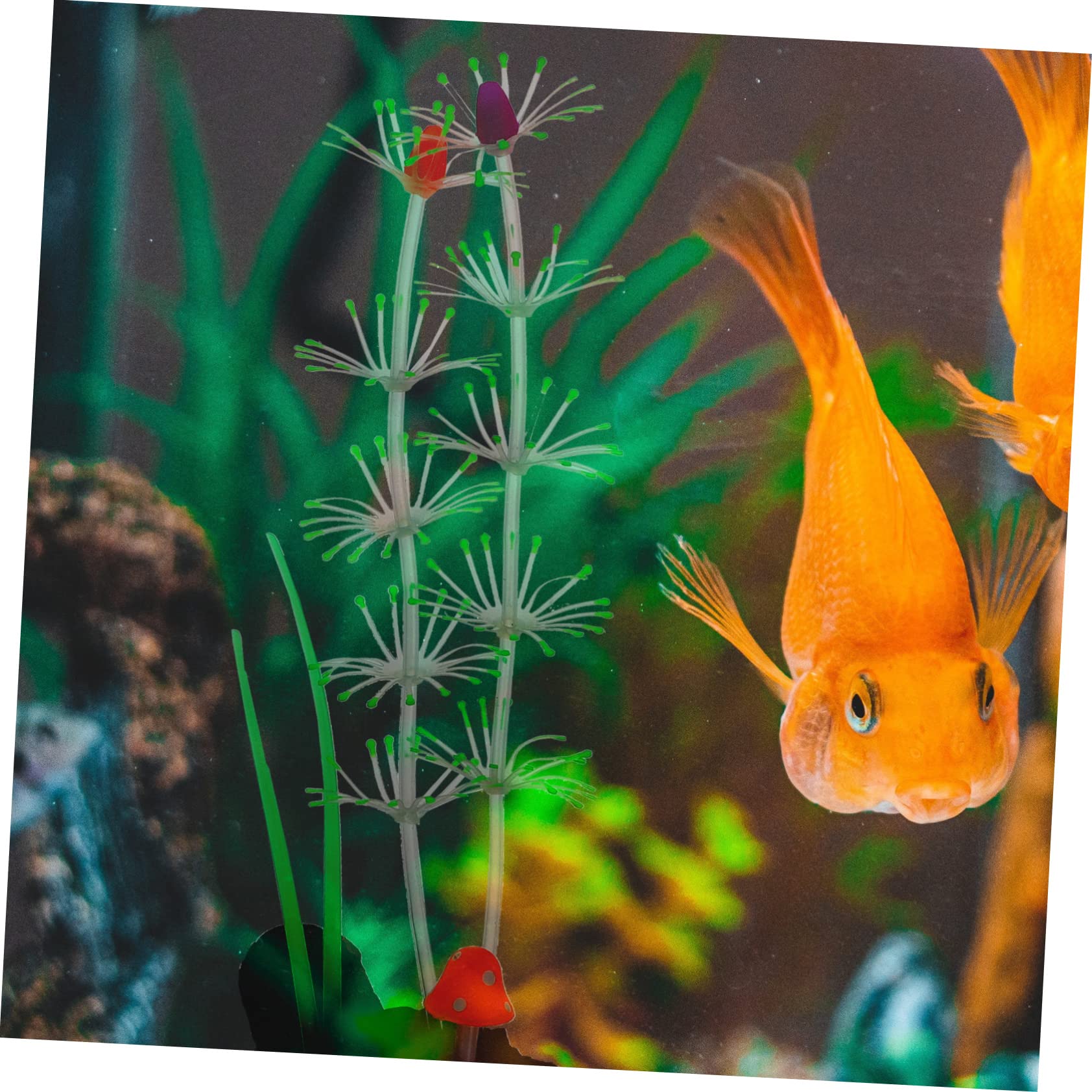 FRCOLOR 3stücke Aquarienpflanze Aus Lebensechte Künstliche Wasserpflanze Für Fischbecken-Dekoration Vivid Fake Plant Für Aquarien Und Fischliebhaber Sichere Und Sanfte Gestaltung Für