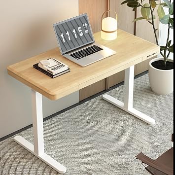 kowo 48" K3101 Electric Height Adjustable Standing Desk with Drawers,Grey Oak/Black Natural/White