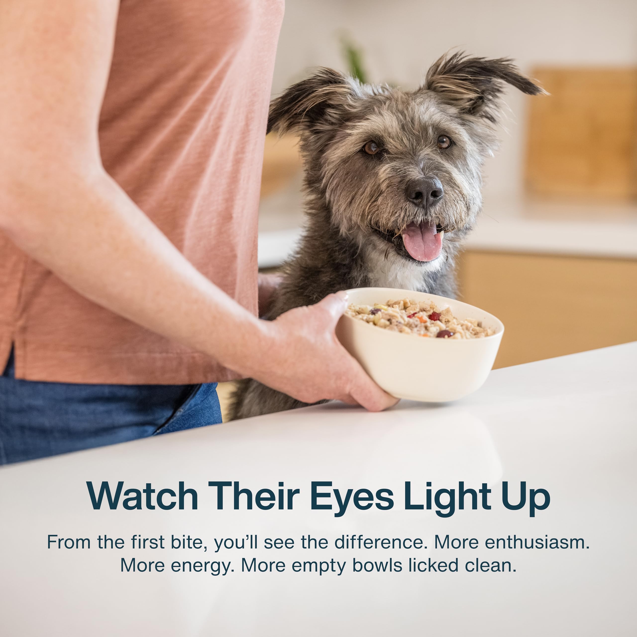 Justfoodfordogs Renal Support Low Protein Dog Food For Kidney