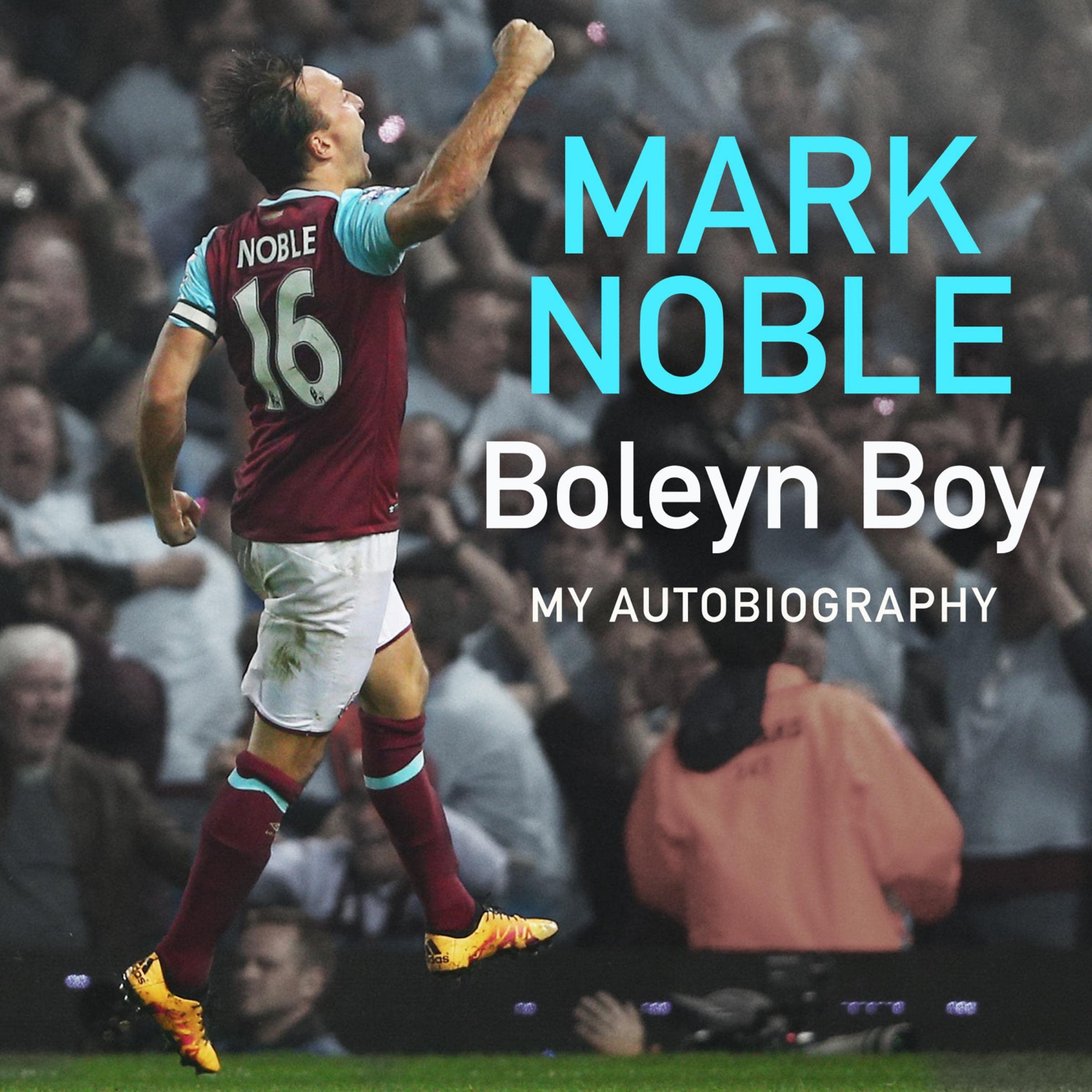 Cover art for Boleyn Boy