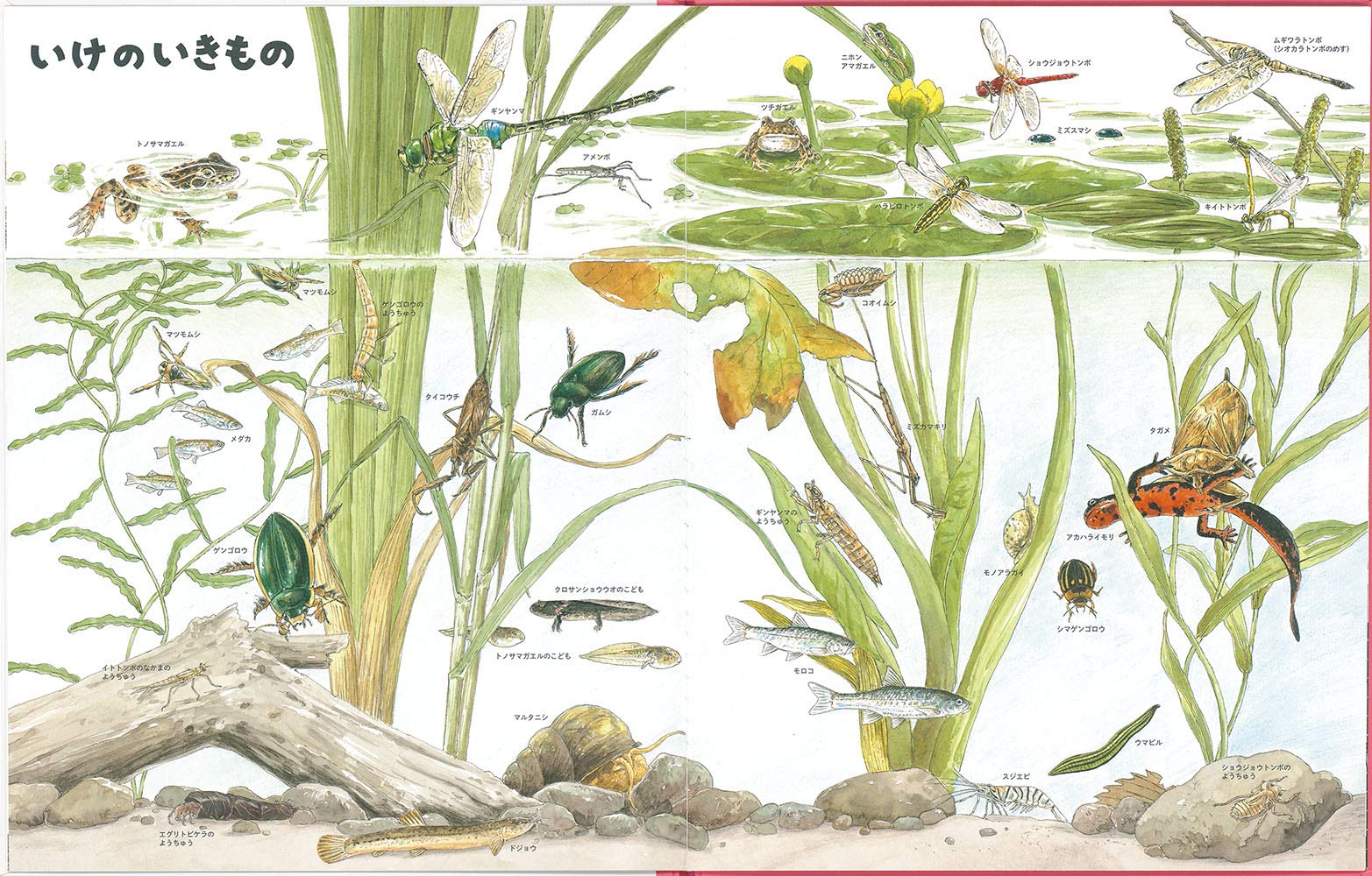いきものづくし ものづくし 4 内城 葉子 荒川 暢 なかの 真実 松岡 達英 山川 宗夫 プニップ クルーズ 河井 いづみ 本 通販 Amazon