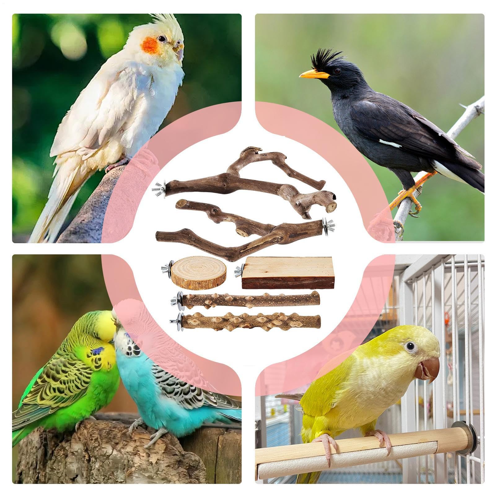 Vogelsitzstange 6 Stück Holz rutschfest