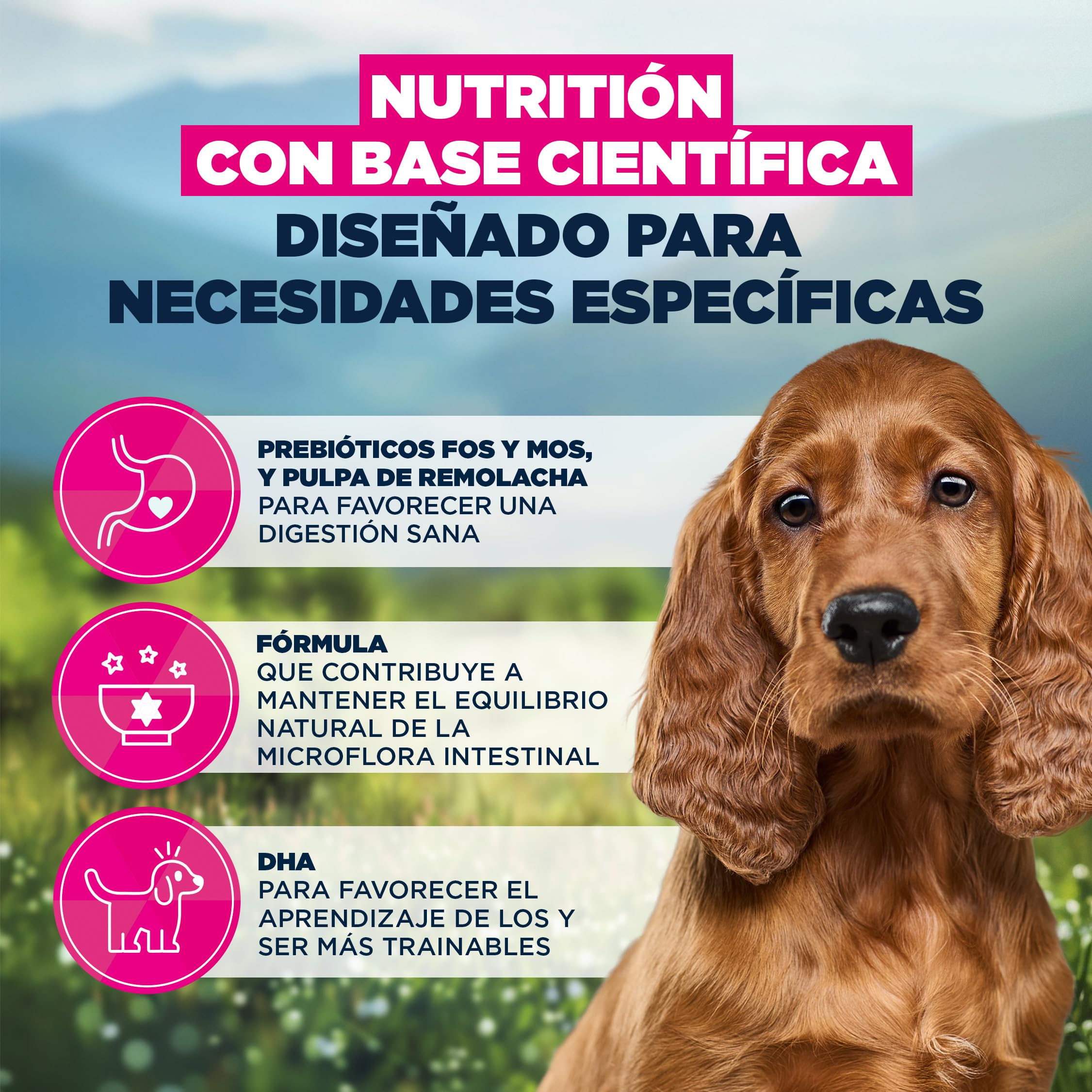 EUKANUBA Sensitive Digestion Alimento seco para Cachorros, Pollo&arroz,12kg