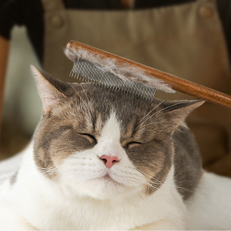 Cat comb,dog comb,Solid Wood Pet Comb Grooming Tool for Cats,Dogs and rabbits - Image 7