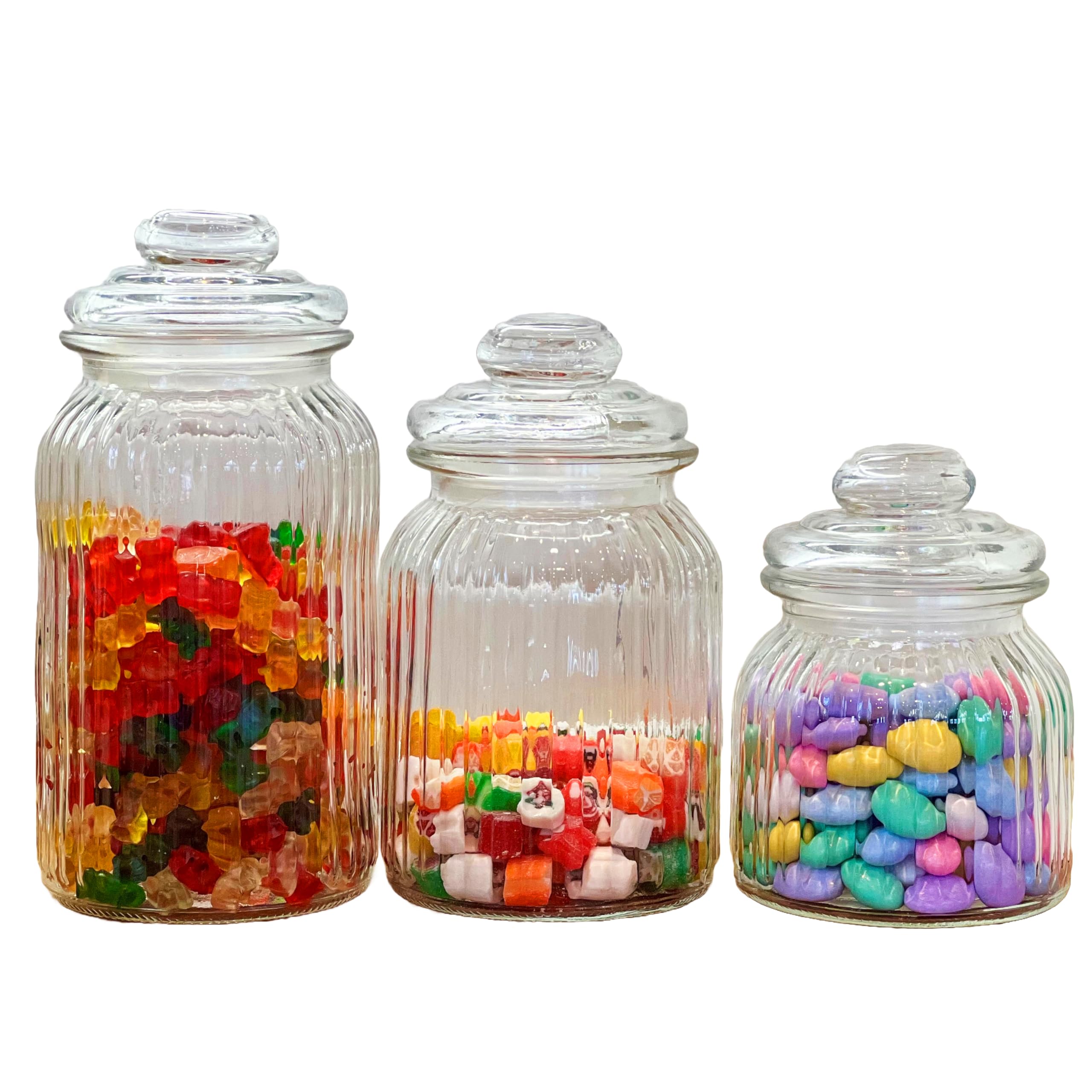 WHW Whole House Worlds Iconic Ribbed and Knob Topped Clear Glass Kitchen Storage Jars, Set of 3, Air Tight Seals, 9, 7 1/2, and 6 Inches Tall