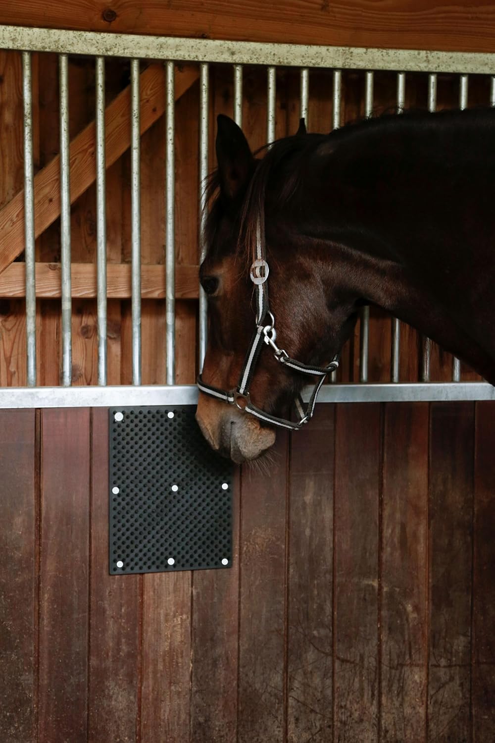 review 32678 Scratching Mat for Column or Wall Mounting, 30 cm Width, 40 cm Length