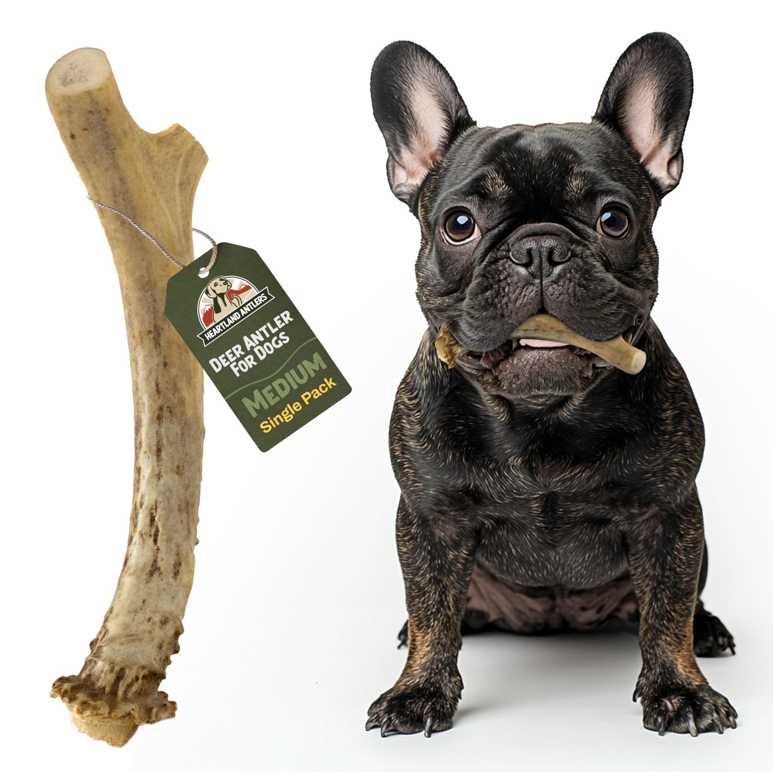 Heartland Split Deer Antler for Dental Care