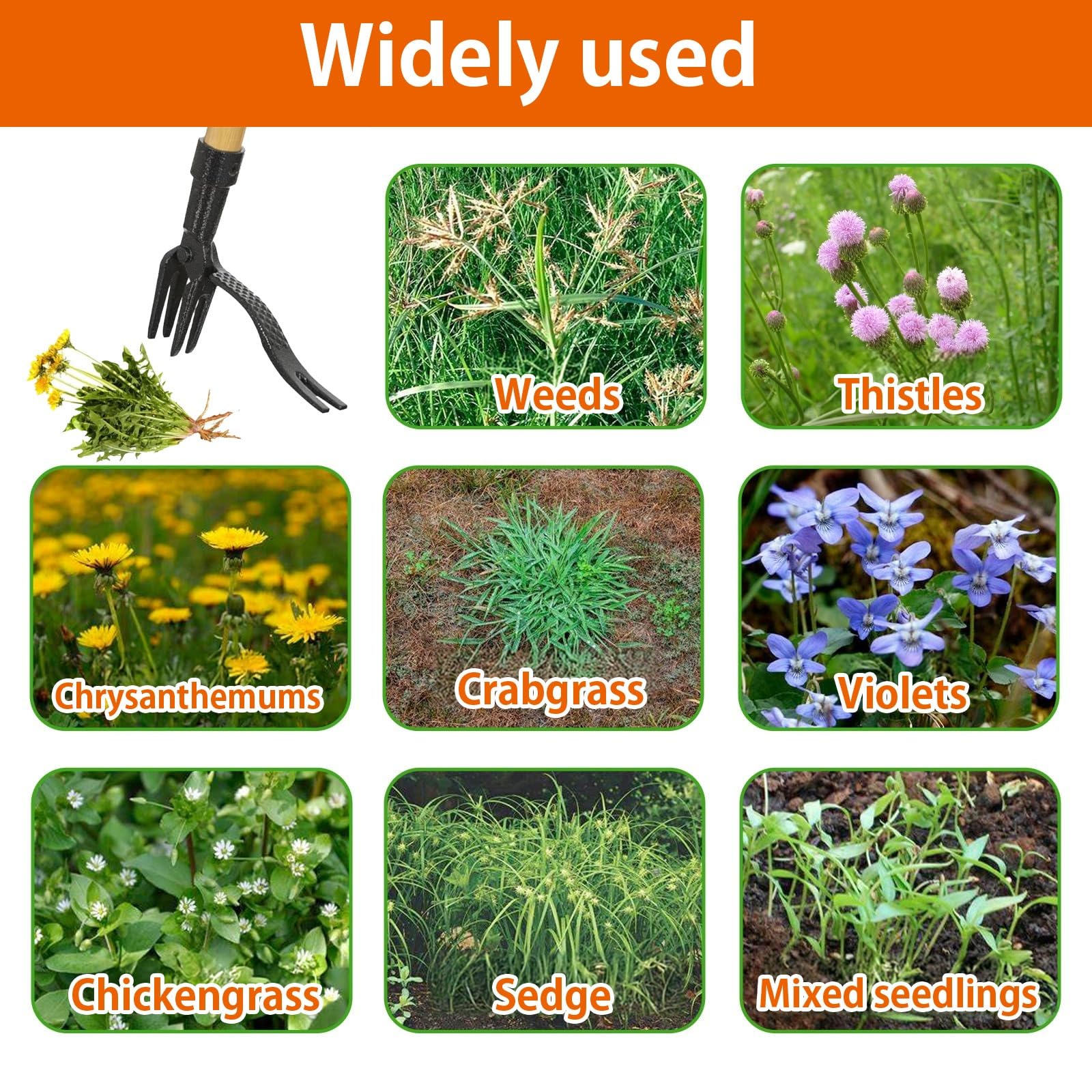 Estrattore Erbacce da Giardino, Togli Erbacce da Giardino, Estirpatore di Erbacce in Piedi, Non c'è Bisogno di Chinarsi, Facile Diserbo, Adatto per Giardini Domestici, Prati, Parchi