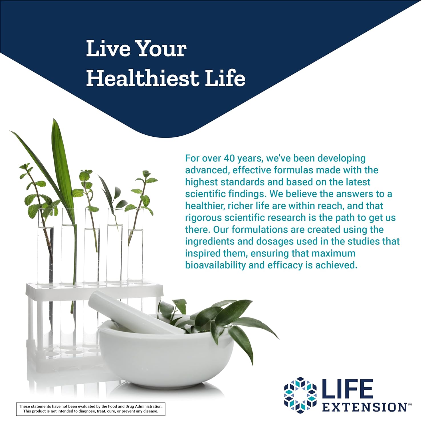 Life Extension Benfotiamine with Thiamine 100 mg Fat & Water Soluble Vitamin B1 - Gluten-Free, Non-GMO, Vegetarian - 120 Vegetarian Capsules : Health & Household