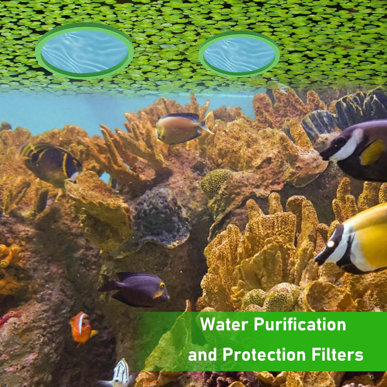 Snapklik.com : FWUNYVN 10Pcs Aquarium Floating Plant Rings And Fish ...