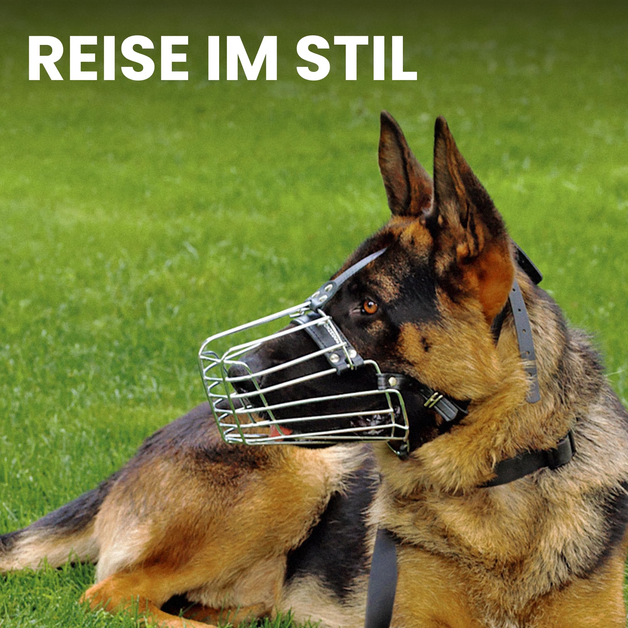 BRONZEDOG Edelstahl Metallmaulkorb für Extra Große Hunde, ermöglicht Hecheln und Trinken (Cane Corso)
