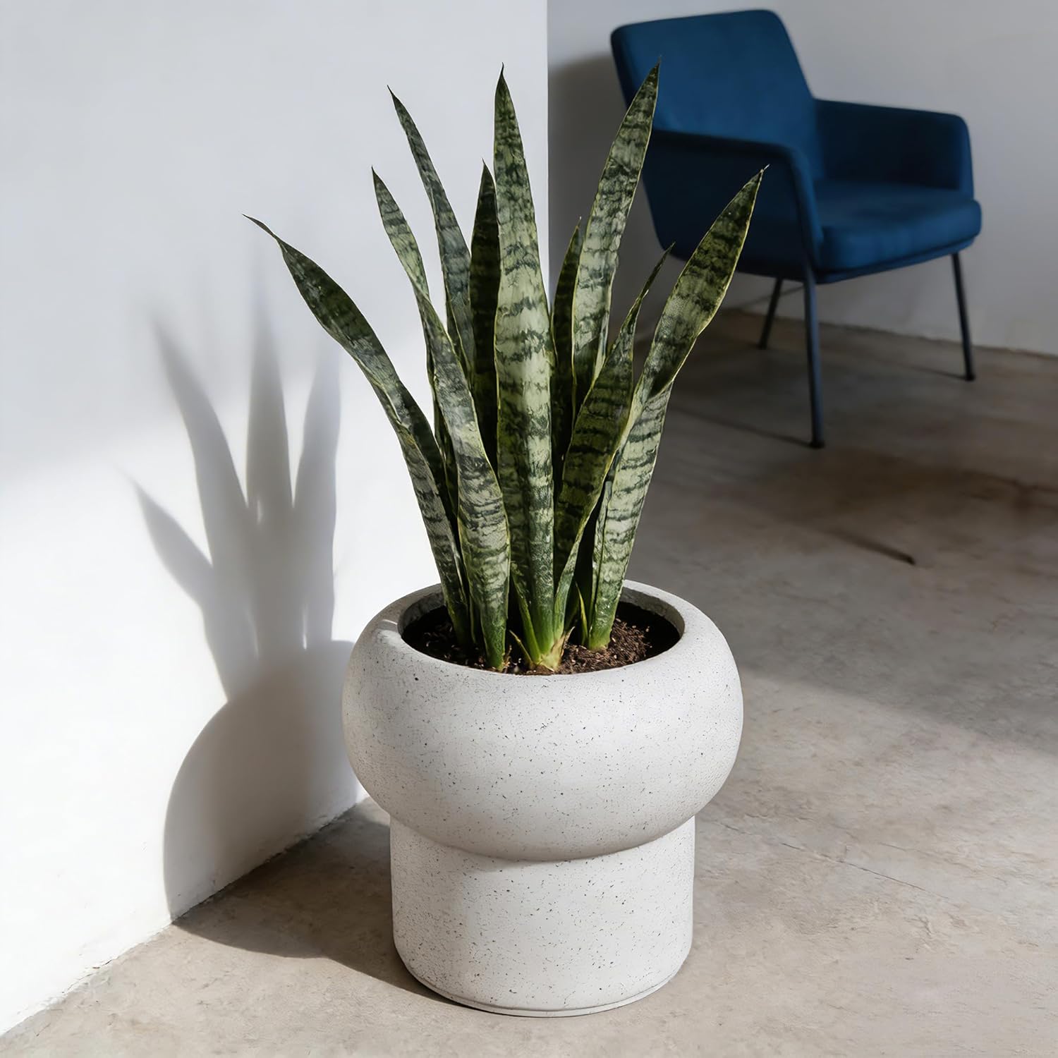 12.5" H x 14" Dia Large Concrete Planter-Heavyweight Outdoor Cement Flower Pot with Mushroom-Shaped Design for Patio, Garden, Porch, or Indoor Use-Modern Decorative Plant Container