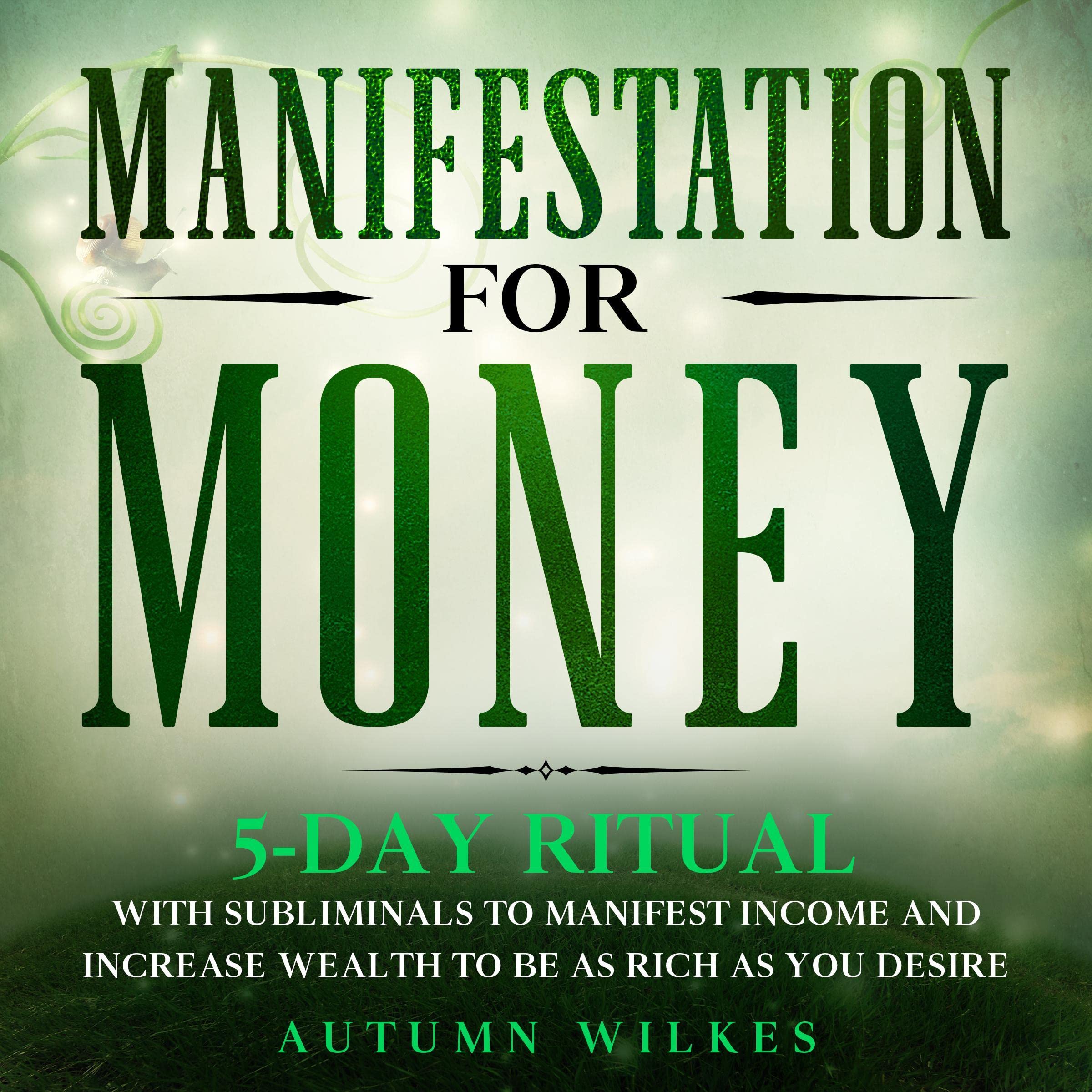 Cover art for Manifestation for Money