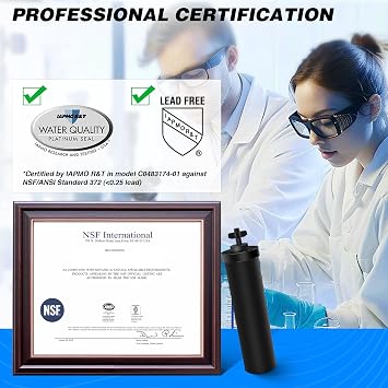 2 Pack Replacement Water Filter Compatible with Berkey Gravity Filter System, Black Elements Activated Carbon Filters Compatible with Travel Large, Royal and Crown Series