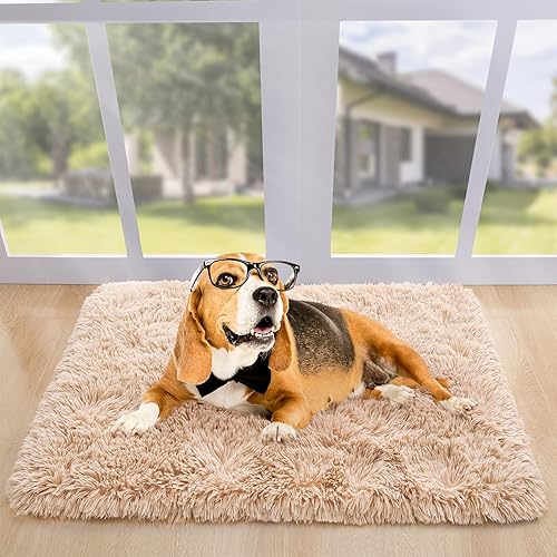 Miniatura 6 de Noahas Alfombras mullidas para dormitorio, 4 x 6, color beige, esponjosas, gruesas, peludas, para sala de estar, alfombra suave para niños,