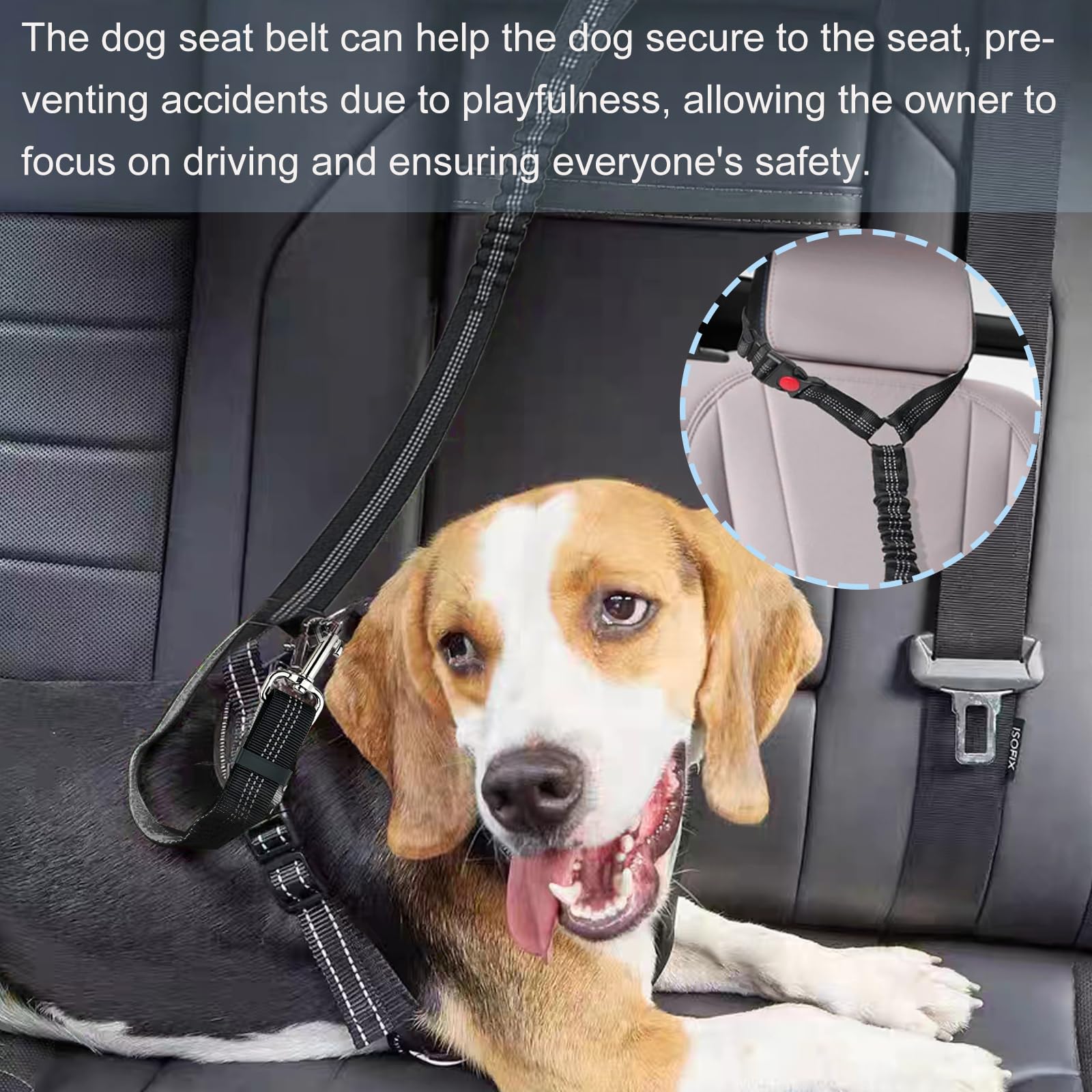 Diompirux 2 pièces Ceinture Chien Voiture, Ensemble de Harnais et Laisse de sécurité de Voiture, Multifonction Tissu Réglable Nylon Ceinture Chien avec Absorption des Chocs, pour Chien et Chat