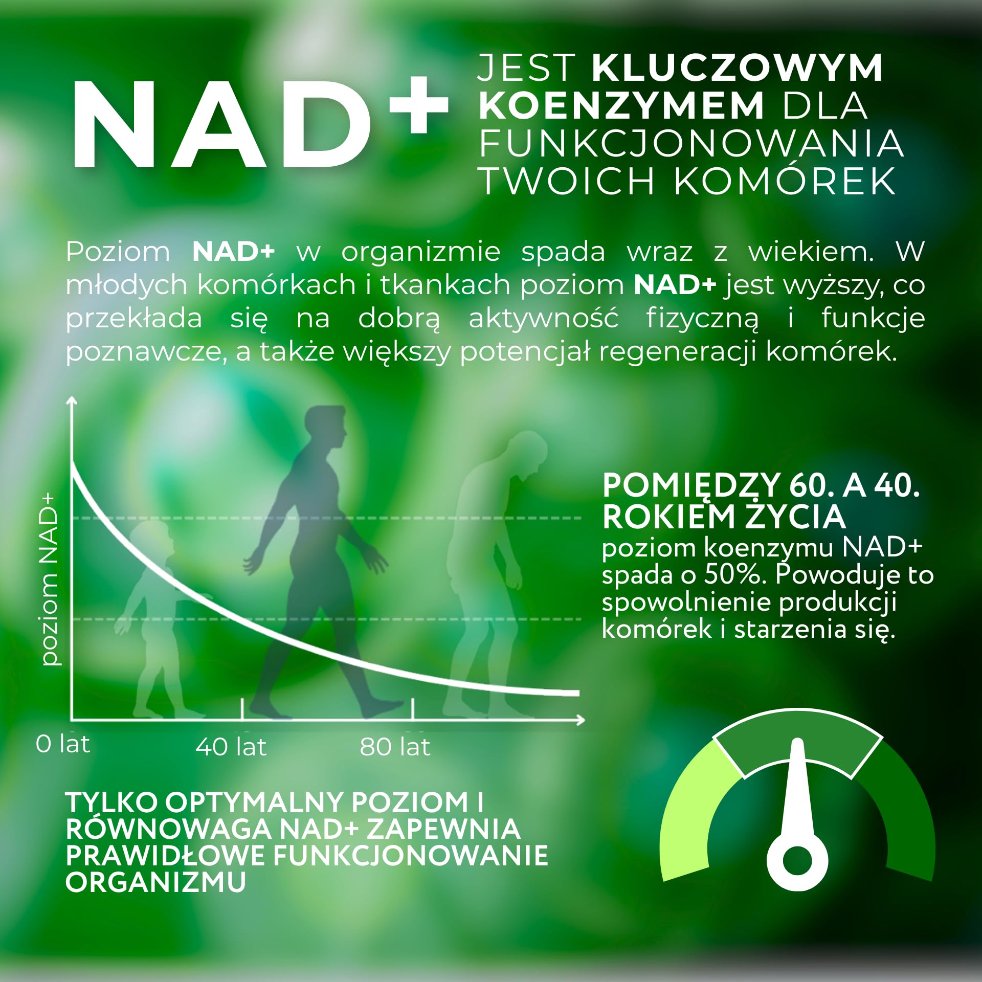 Vegan Complex 1-MNA, Anti Aging, Suplement Optymalizujący NAD+ z Witaminami i Minerałami dla Kobiet i Mężczyzn, D3, K2, B2, B6, B12, Kwas Foliowy, Cynk, Żelazo, Jod, Selen, 30 Kapsułek