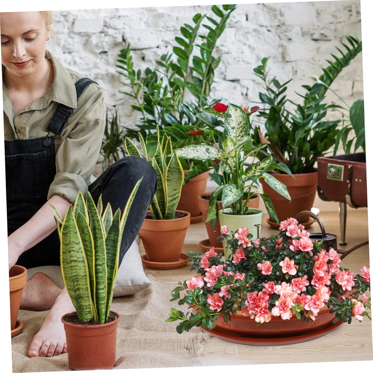 ibasenice 1Set Large Oval Plastic Flower Pot with Drainage Tray Oval Planter for Home Bonsai and Outdoor Gardening Sturdy Large Capacity Container for Flowers and Plants