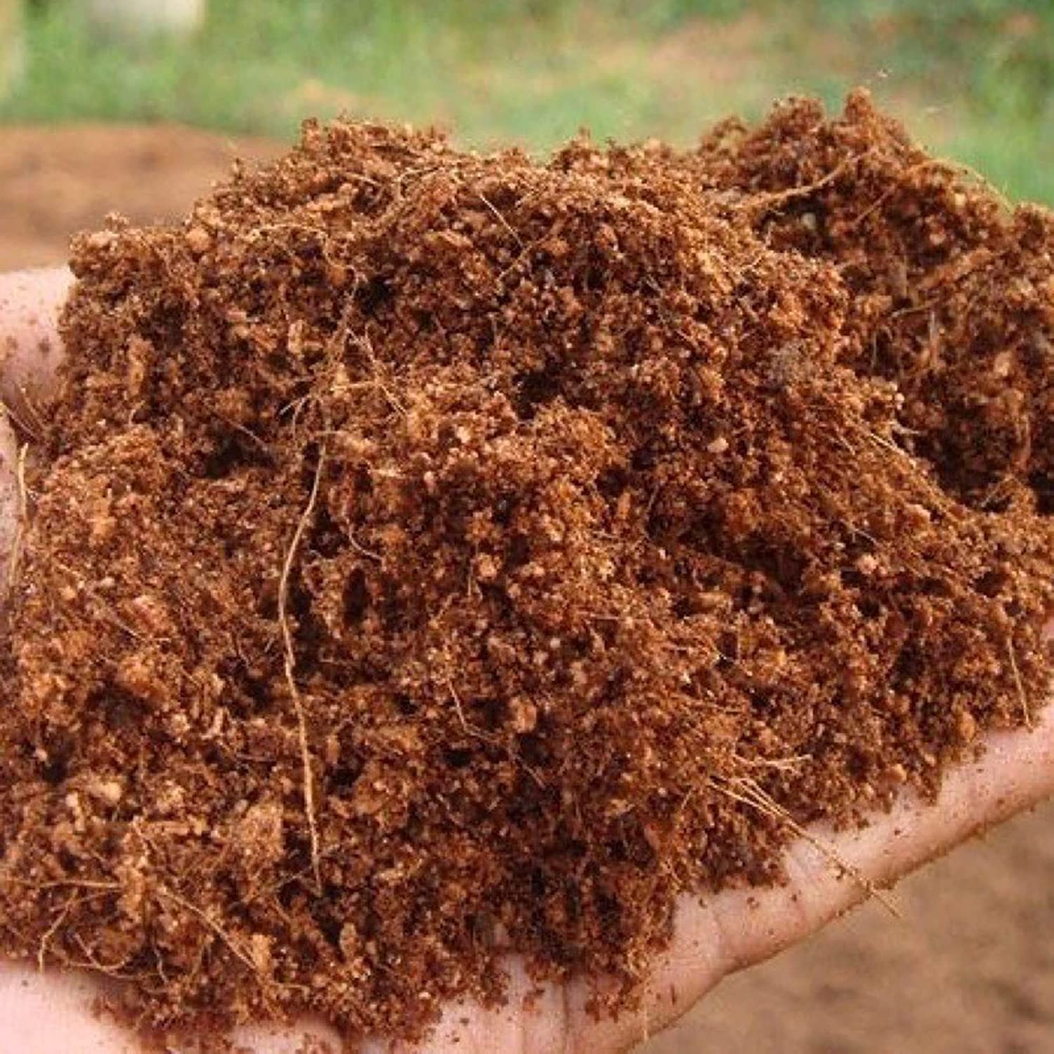 Amazon Brand Nalla Cocopeat/Agropeat Powder 5 Kilograms for All Seeds & Plants, Vegetable Garden, Grow Seedlings, Hydroponics - pH-Balanced Expandable CocoPeat Powder (Pack of 5 Kgs) (B09VTP9WCP) Amazon Price History, Amazon Price Tracker
