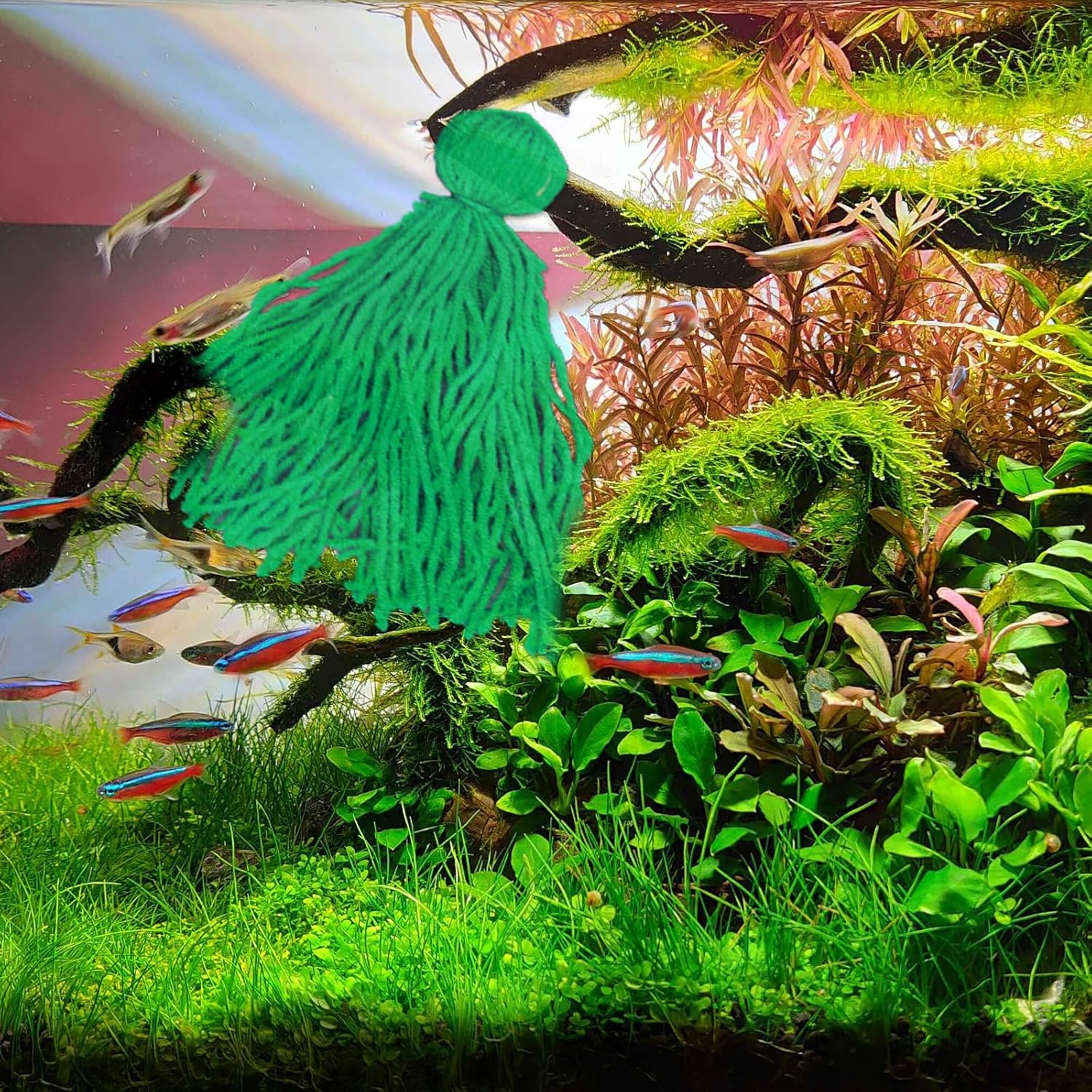 Fish Breeding Penn-Plax Grass – Baby Hideout For Fry – Great For