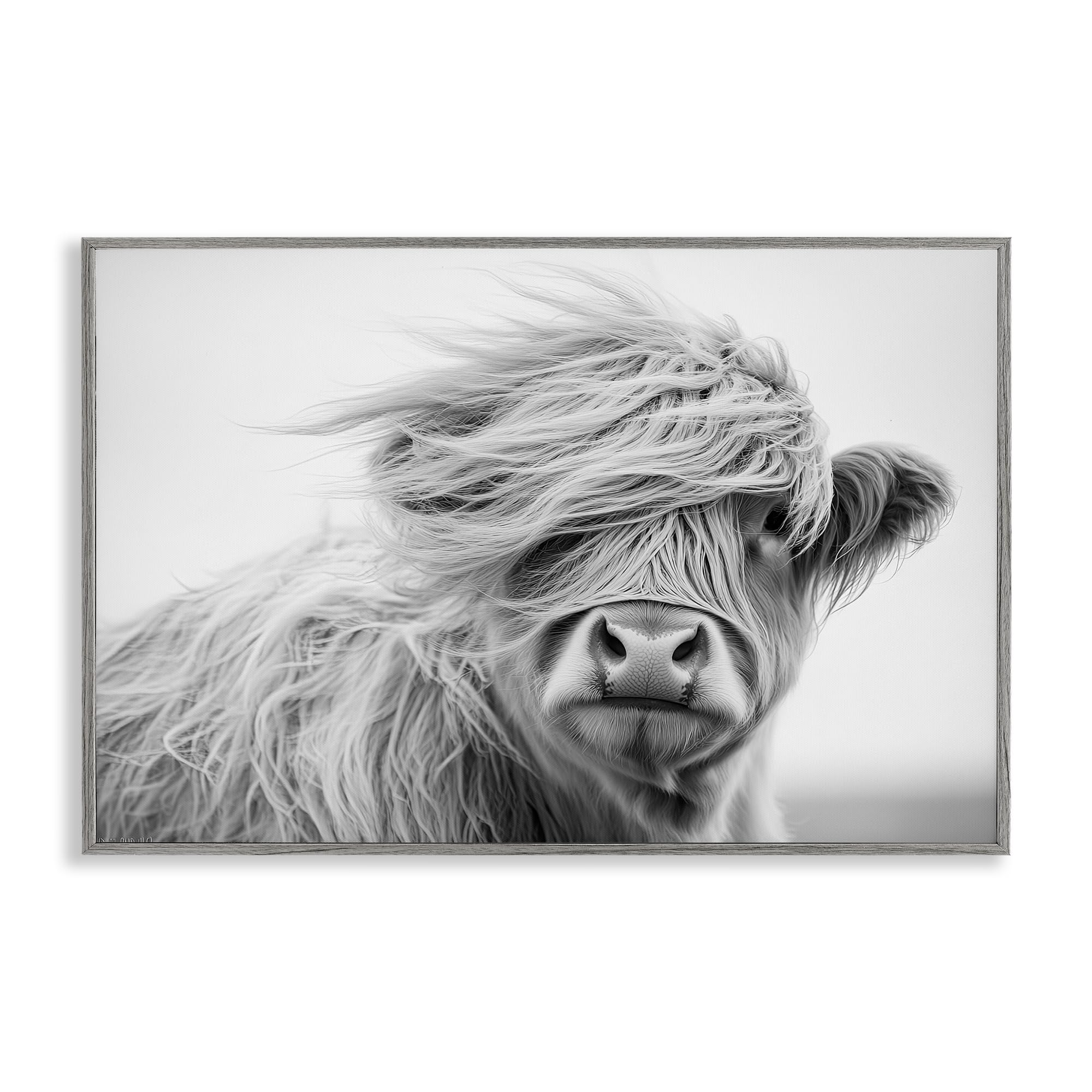 Stupell Industries 'Easy Breezy Highland', Framed Giclee Art, Gray, 18 x 12 Inches, Easy to Hang and Sturdy, Made in USA, by Tina LeCour