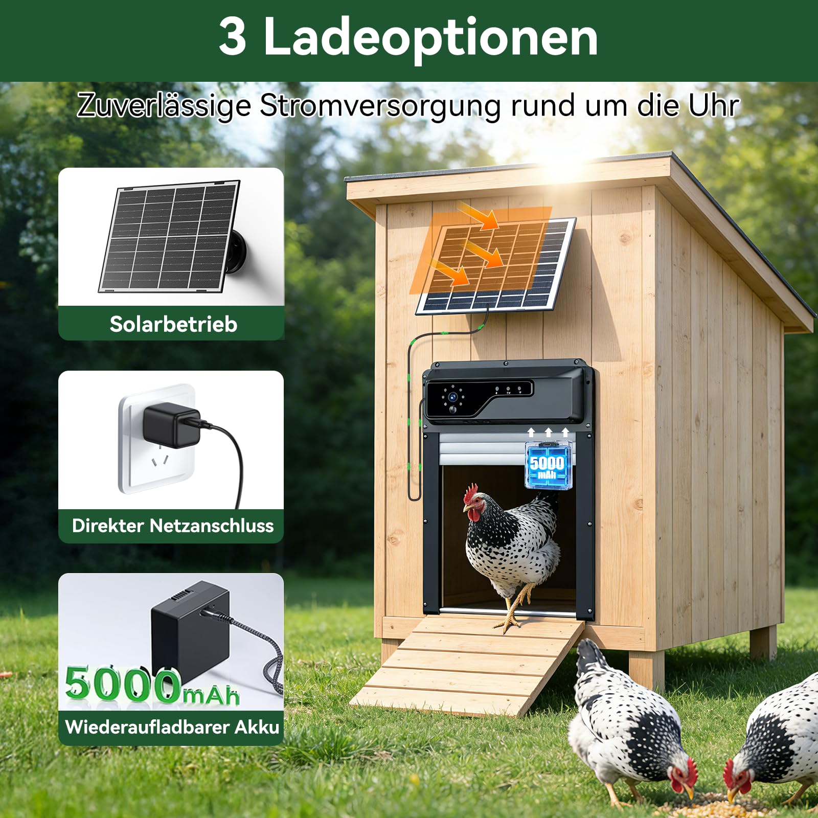 Automatische Hühnerklappe Solar, Hühnerklappe Automatisch mit WLAN-App-Steuerung