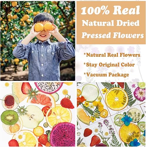 Miniatura 2 de Flores secas prensadas, frutas para moldes de resina, 75 piezas surtidas de frutas naturales reales, flores, hojas, pétalos para álbumes de