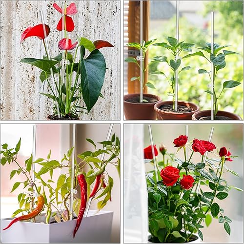 Miniatura 6 de Estacas para plantas, 20 estacas de soporte acrílico transparente para plantas, 18 pulgadas, estacas de orquídea de un solo tallo para plantas de