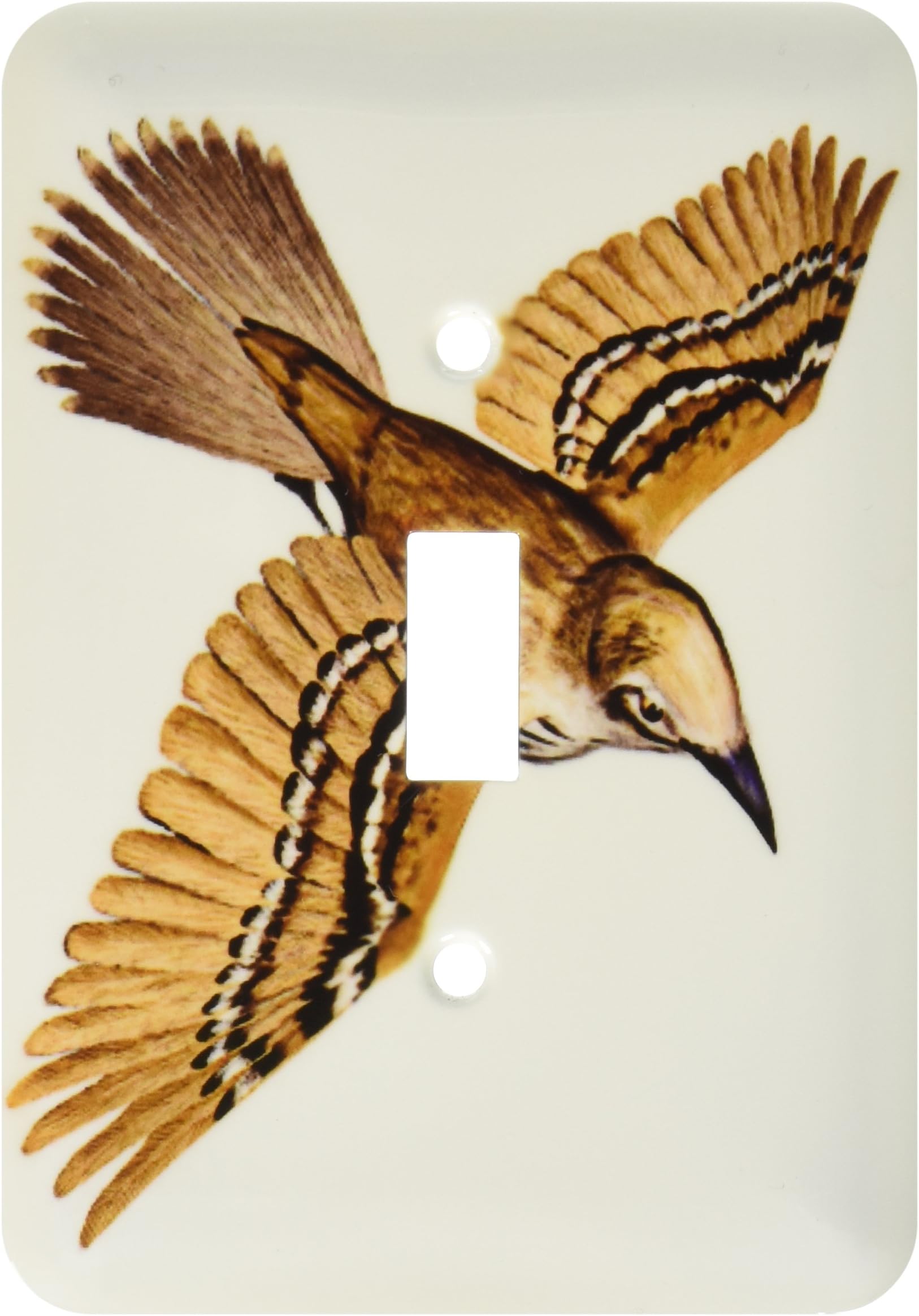 3dRose lsp_77201_1" Cozumel Thrasher Single Toggle Switch