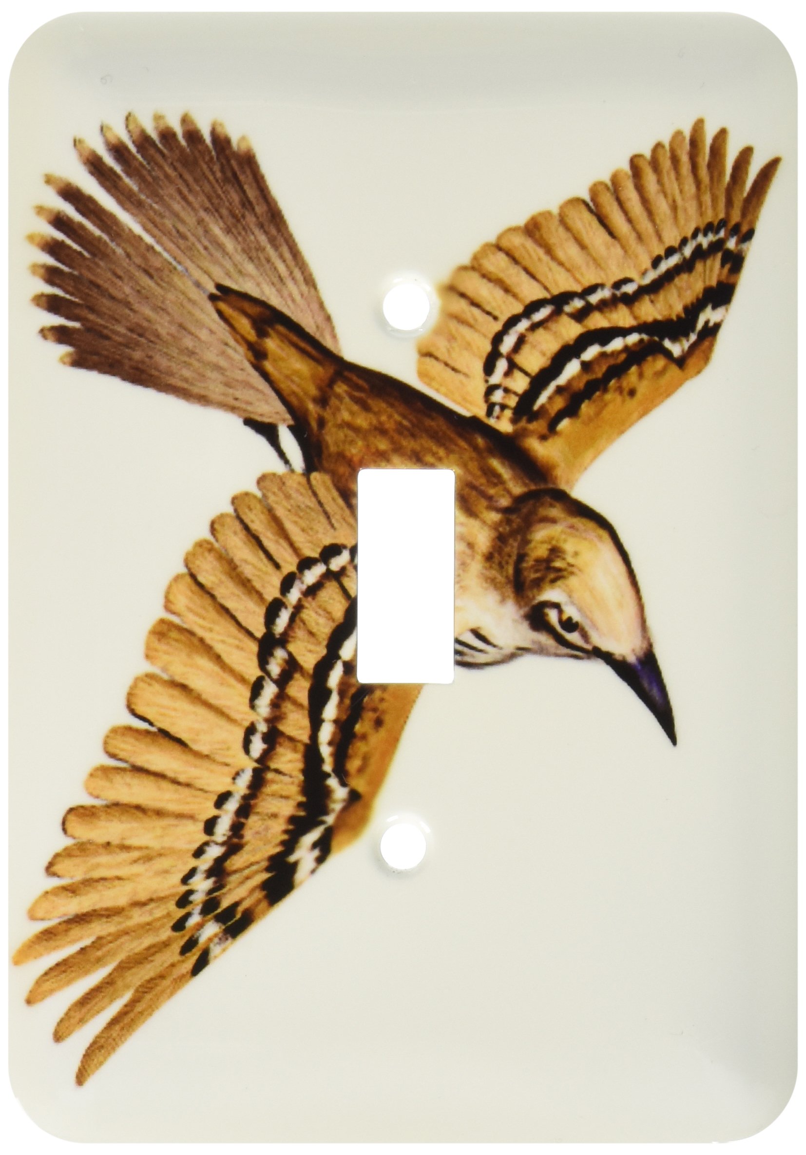 3dRose lsp_77201_1" Cozumel Thrasher Single Toggle Switch