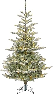 Black Box Trees Celtis Künstlicher Weihnachtsbaum mit LED-Beleuchtung – H185 x Ø112 cm – Grün mit Frostoptik