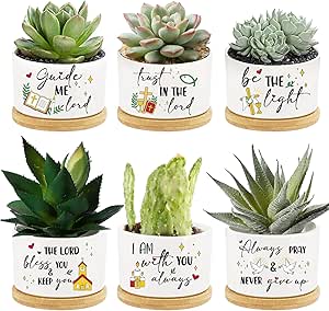 Amazon.com : 6Pcs Bible Verse Succulent Pots Mini Ceramic Flower ...