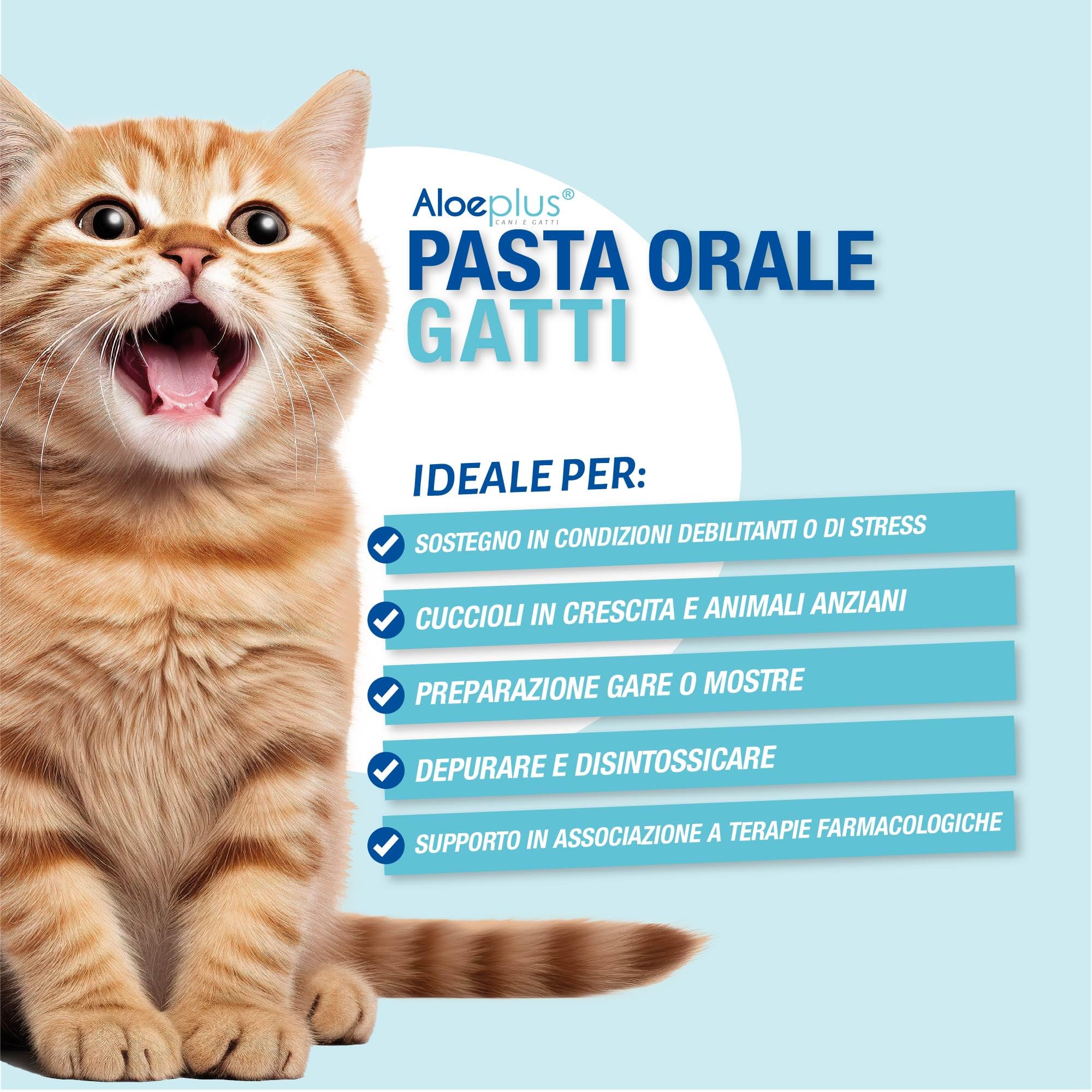 ALOEPLUS Gatti Pasta Orale - Alimento Complementare Energetico, Disintossicante con Aloe Arborescens BIO, Rafforza le Naturali Difese di Gatti Anziani e Cuccioli, Contro Alitosi (1 pz) (15 ml)