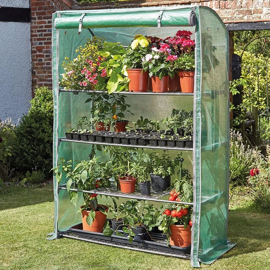 Premium greenhouse with plants growing inside