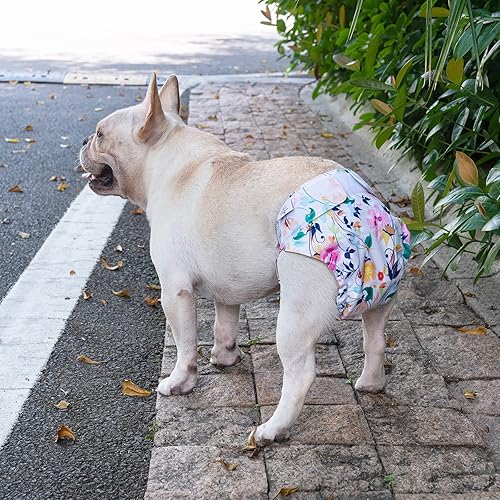 Miniatura 7 de CuteBone Pañales lavables para perras, paquete de 3 pantalones de entrenamiento para cachorros WWD02XS